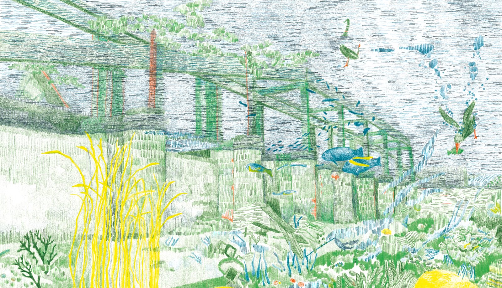 Résidence Territoires Pionniers